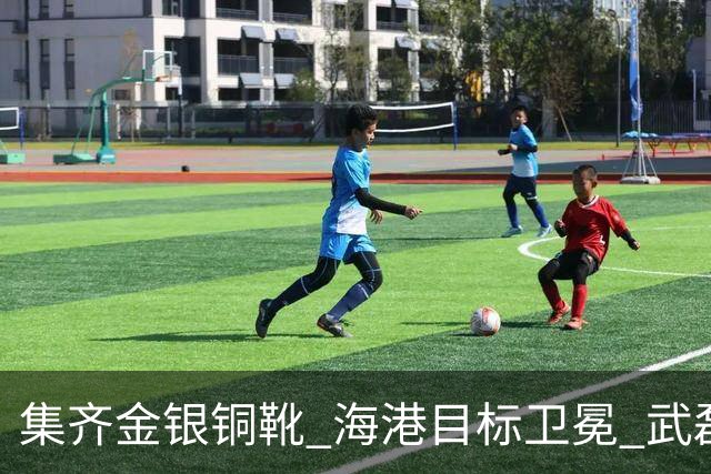 集齐金银铜靴 海港目标卫冕 武磊的伤是个麻烦